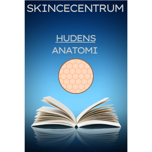 Bok om: Hudens Anatomi